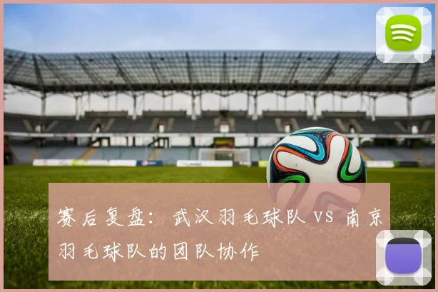 赛后复盘：武汉羽毛球队 vs 南京羽毛球队的团队协作