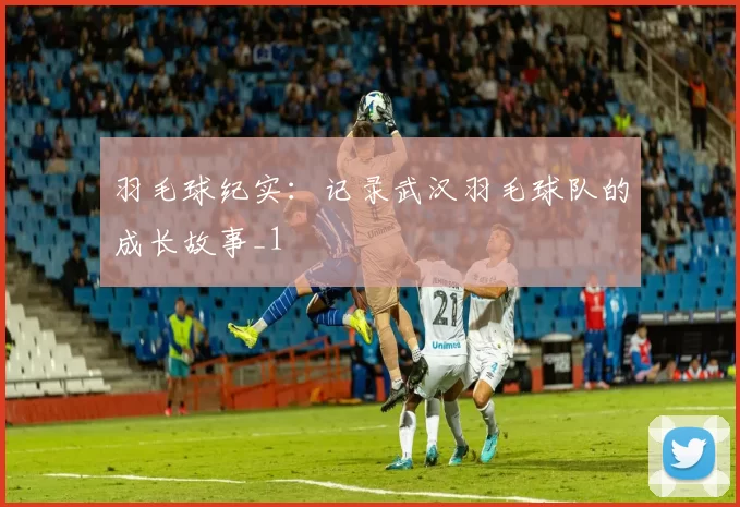 羽毛球纪实：记录武汉羽毛球队的成长故事_1