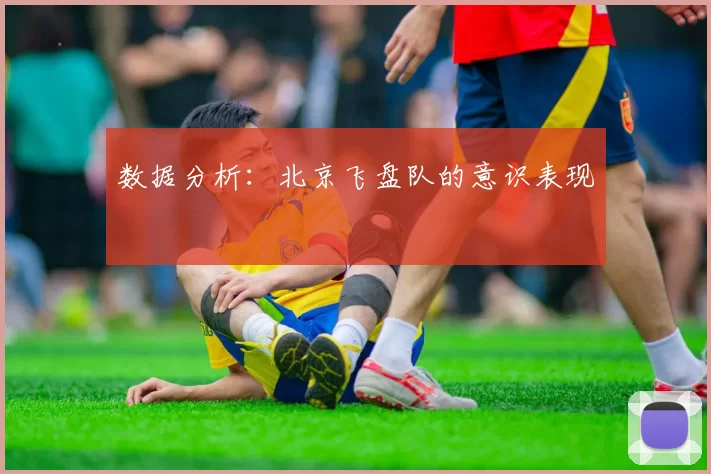 数据分析：北京飞盘队的意识表现