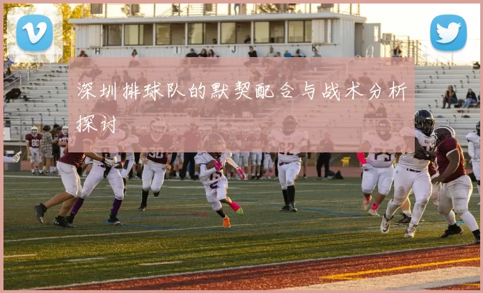 深圳排球队的默契配合与战术分析探讨
