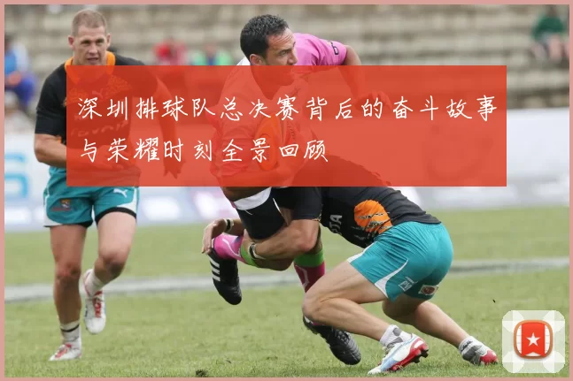 深圳排球队总决赛背后的奋斗故事与荣耀时刻全景回顾