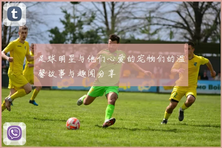 足球明星与他们心爱的宠物们的温馨故事与趣闻分享